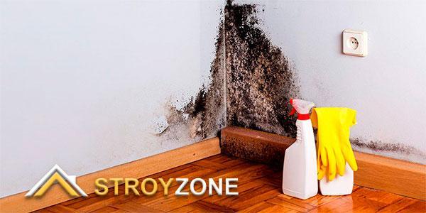 Советы по избавлению сырости в помещении квартиры Советы по избавлению сырости в помещении квартиры